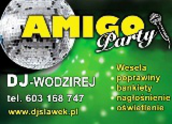 DJ Wodzirej na wesele, poprawiny, karaoke,bankiety.