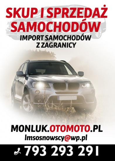 Profesjonalny skup pojazdów - tanie, drogie i dostawcze!